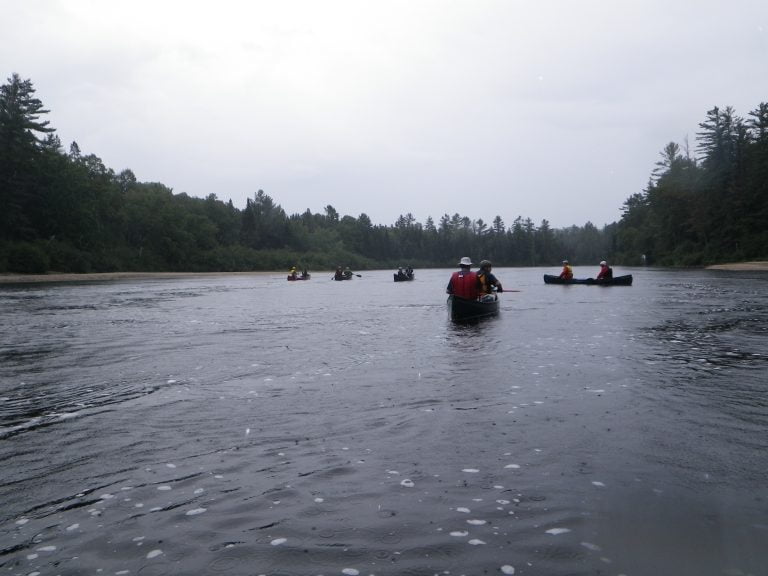Group of canoes on the Coulonge River