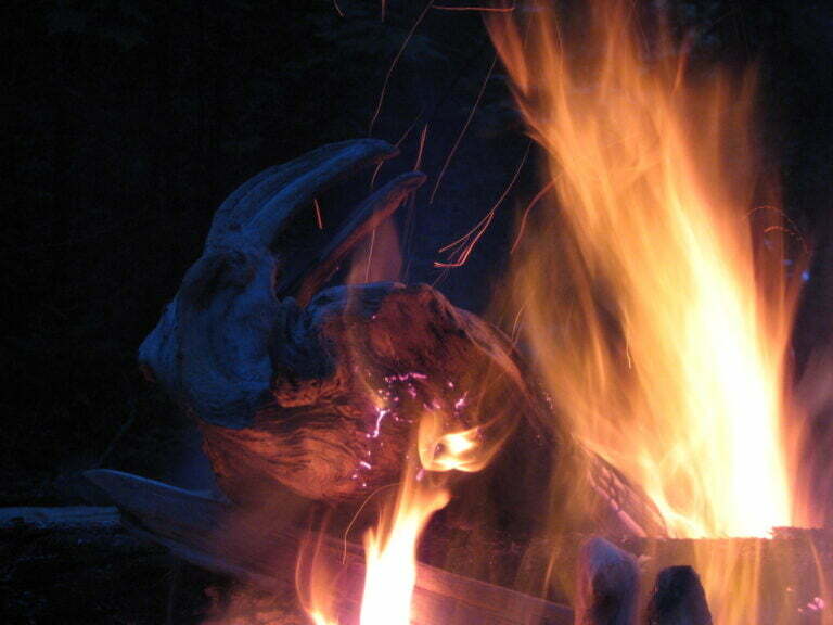 wood burning and flames emanating from campfire